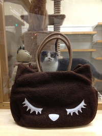 猫柄バック入荷しました！！
