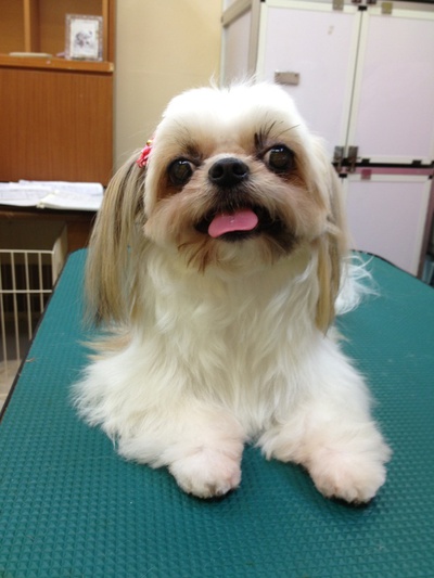 本日のお客様！！