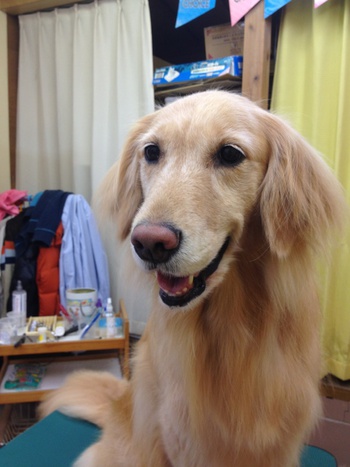 美容☆～☆