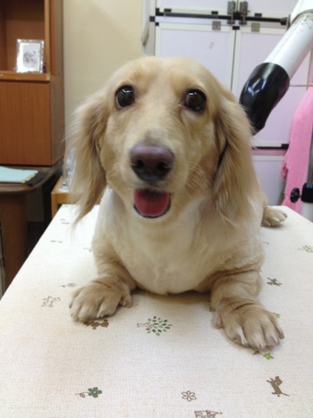 本日のお客様！！