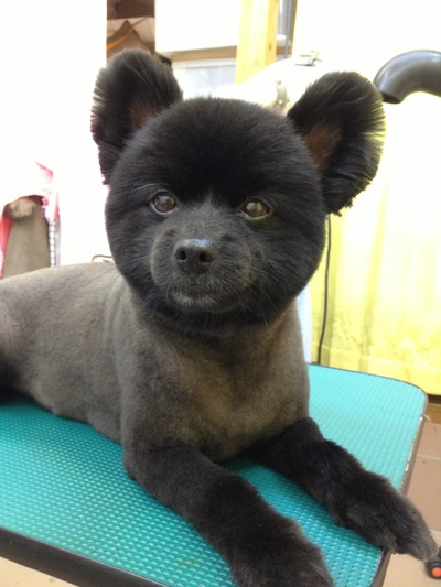 本日のお客様！！