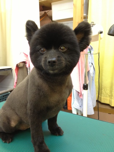 本日のお客様！！