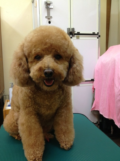本日のお客様！！