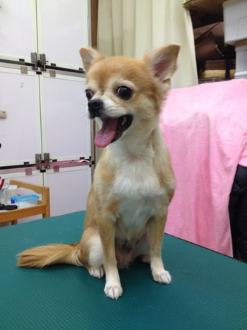 本日のお客様！！