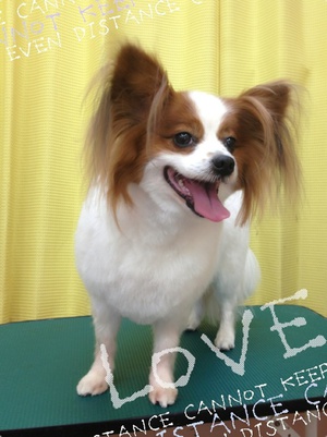 本日の美容☆～