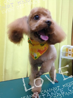 本日の美容☆～
