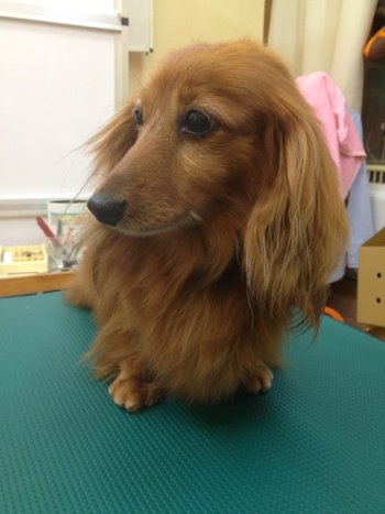 美容～☆
