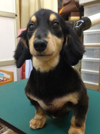 お客様～！！