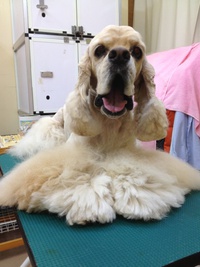 本日のお客様！！