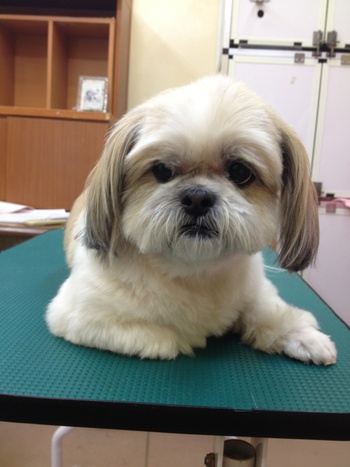 本日のお客様！！