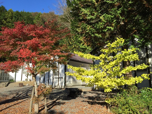 大久保の紅葉