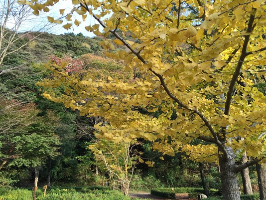 毎日変わる風景