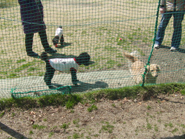 今朝も寒かったですね。