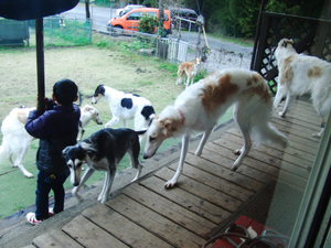 ＢＢＱでミニＯＦＦ会