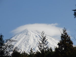 3月も終わろうとしています。