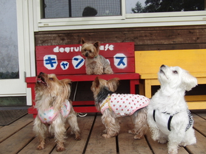 小雨の日曜日