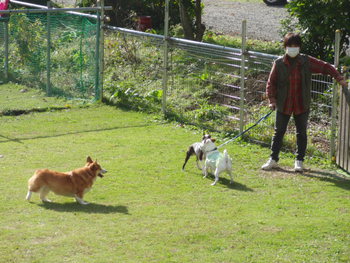 プログ訪問していただき有難うございます。