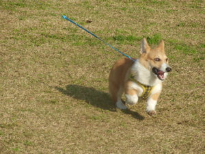 暖かい連休でした