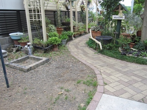 庭の雑草除去。。。