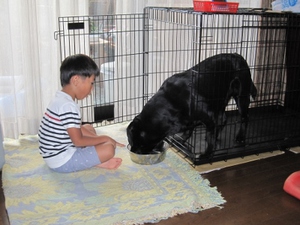 小さな調教師。。。