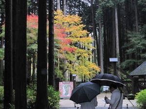 車で御殿場へ。。。