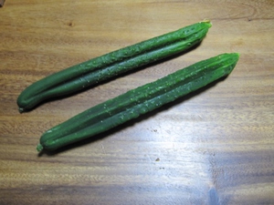 いただきもの。。。