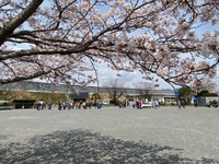 第伍道中　総練習最終日
