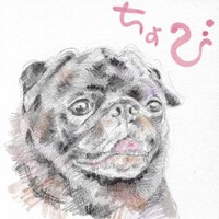 はなぺちゃフェスティバル2025に行ってきた