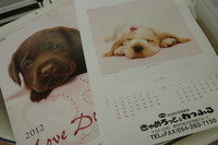 2012カレンダー出来上がりましたｖｖ（・＠・）