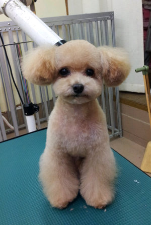 本日の美容♪