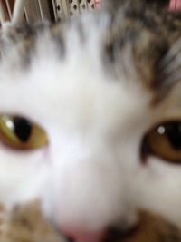 スコのオクタくんお泊り～ｖｖ（＾＠＾）