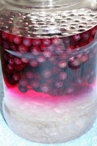 ブルーベリー酒