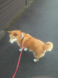 お泊り（＾０＾）ｖｖ
