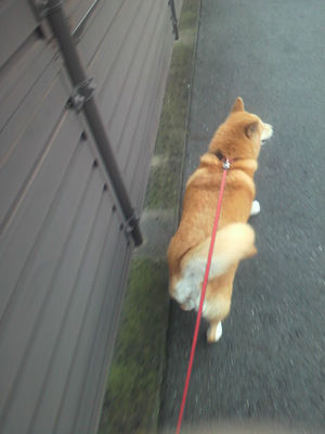 お泊り（＾０＾）ｖｖ