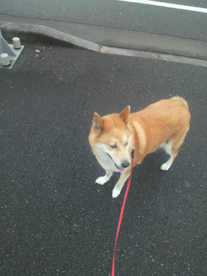 お泊り（＾０＾）ｖｖ