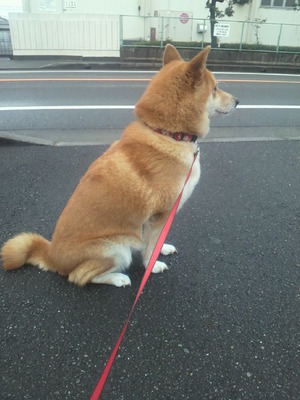 お泊り（＾０＾）ｖｖ