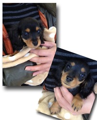 カニヘンダックス家族決まりましたｖｖ（＾＠＾）