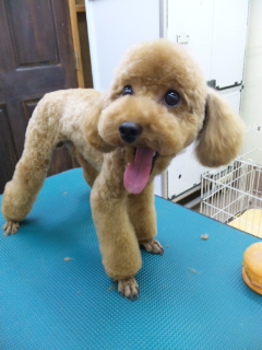 続き★