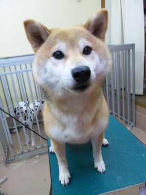 続き☆