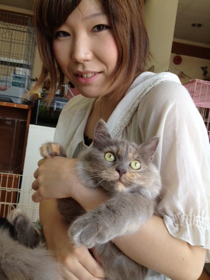 マンチカン女の子家族決まりました！！