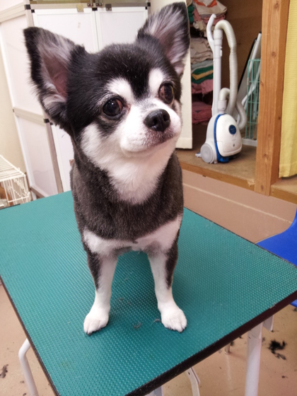 美容ブログ！！