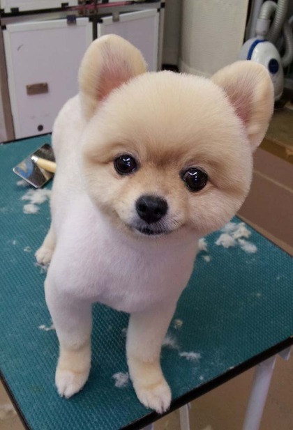 美容ブログ！！