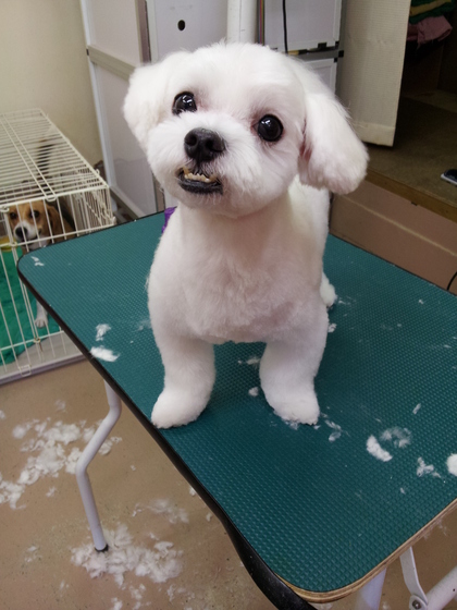 美容ブログ！！
