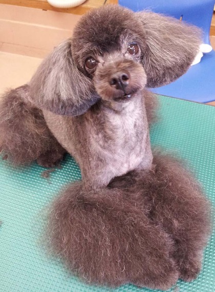 美容ブログ！！