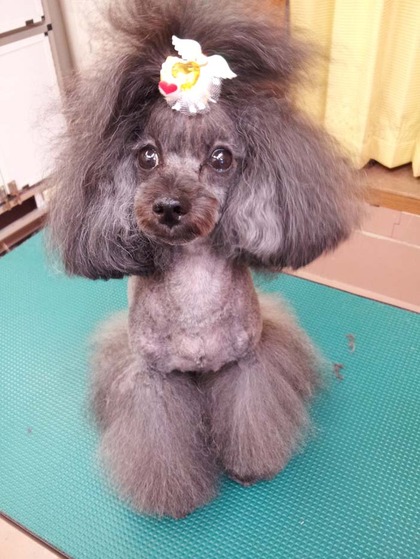 美容ブログ！！