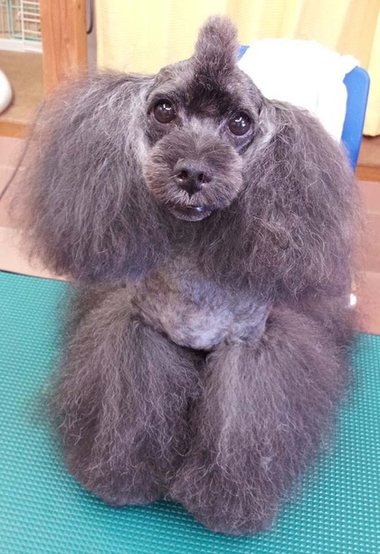 美容ブログ！！