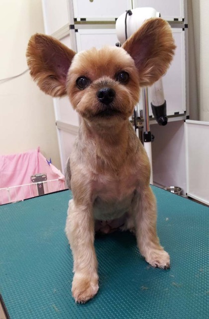 美容ブログ！！