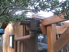 作業場の屋根を。。。