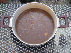 カレーもつ。。。