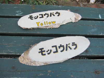 名札作り。。。